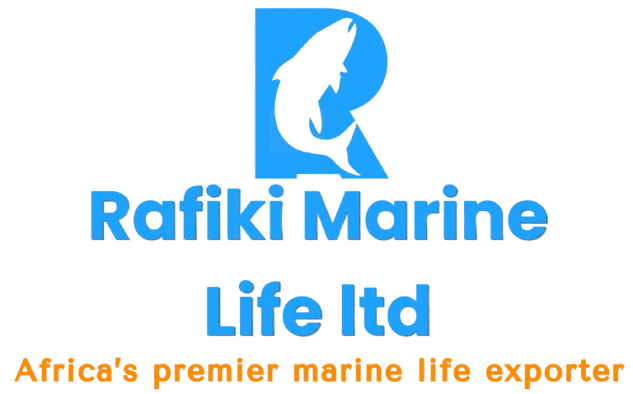 Rafiki Marine